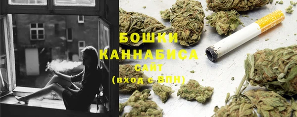 сатива Переславль-Залесский