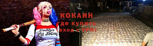 стаф Дубна