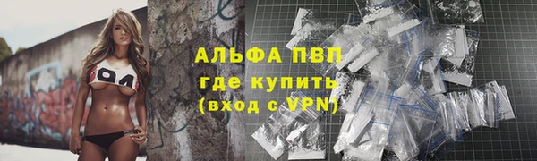 стаф Дубна